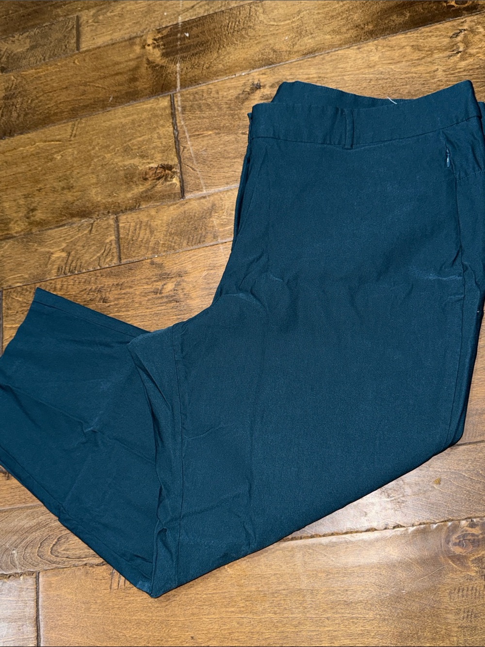 Lane Bryant Teal Women's Trousers